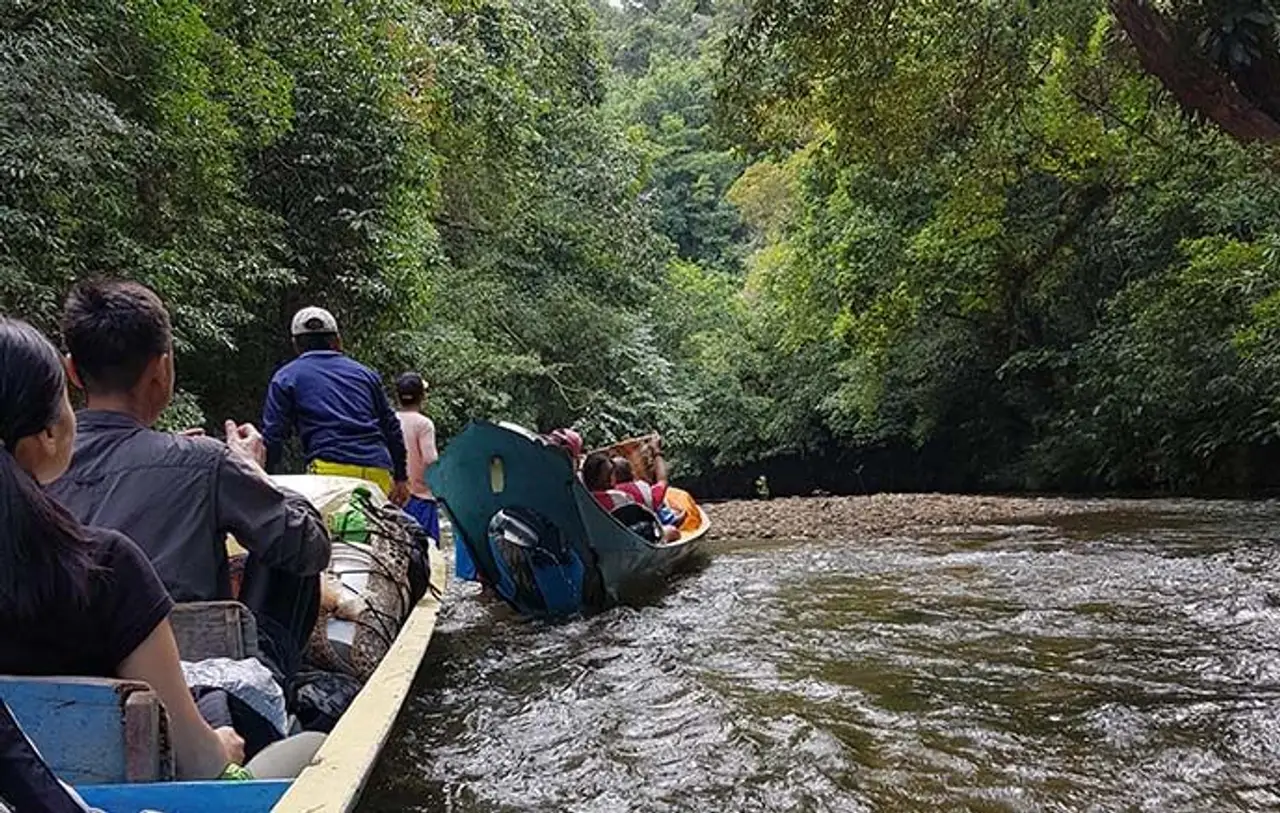 safari-vie-sauvage-borneo