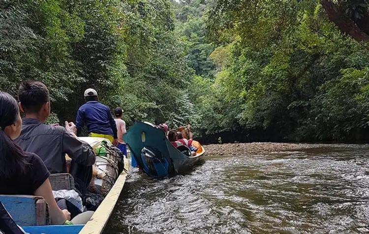 safari-vie-sauvage-borneo