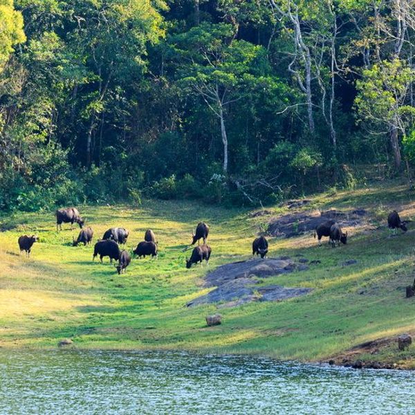 from-kerala-to-tamil-nadu