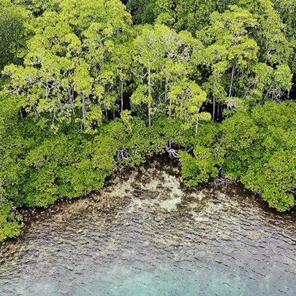 raja-ampat-archipelago-cruise