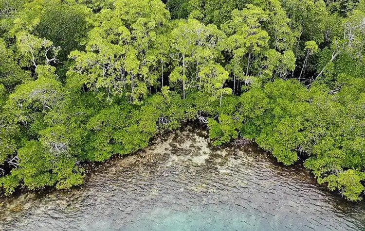 raja-ampat-archipelago-cruise