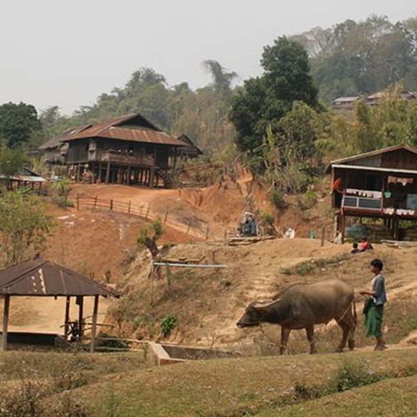 coeur-triangle-or-trek-pays-shan