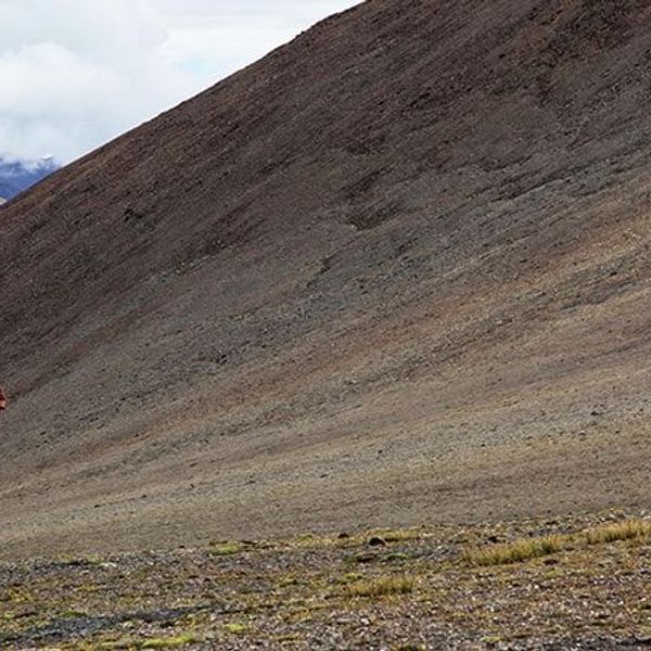du-rupshu-au-spiti-par-le-parang-la