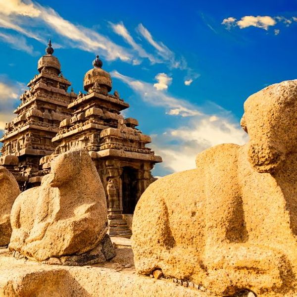 from-kerala-to-tamil-nadu