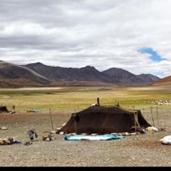 from-indus-changtang