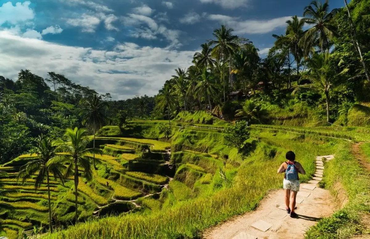 rice-fields-of-bali-to-komodo-dragons