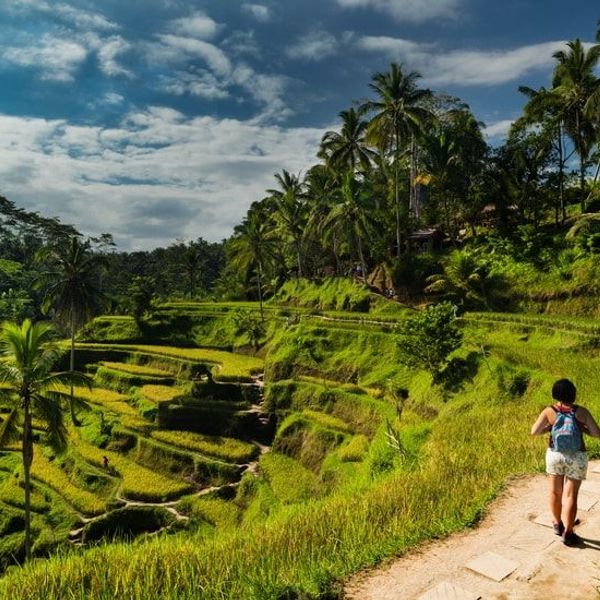 rice-fields-of-bali-to-komodo-dragons