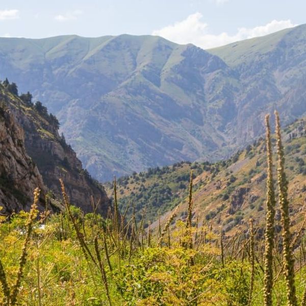 grand-tour-ouzbekistan