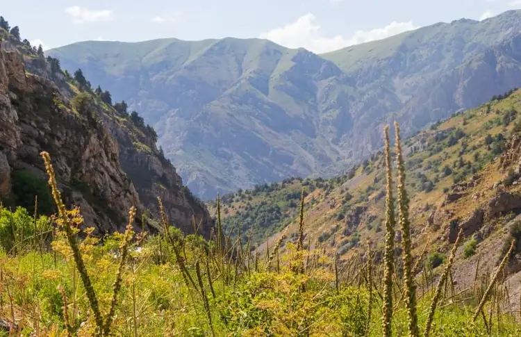 grand-tour-ouzbekistan