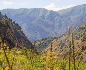 immersion-ouzbekistan