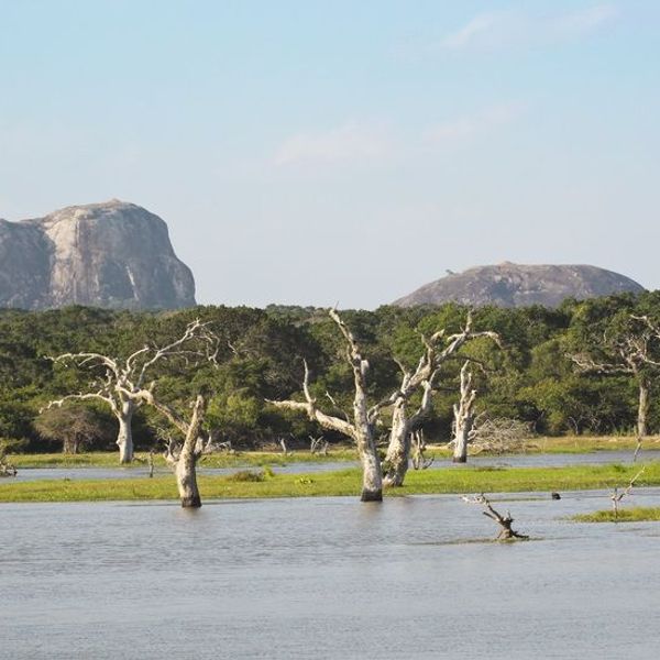 ceylon-nature-and-wildlife