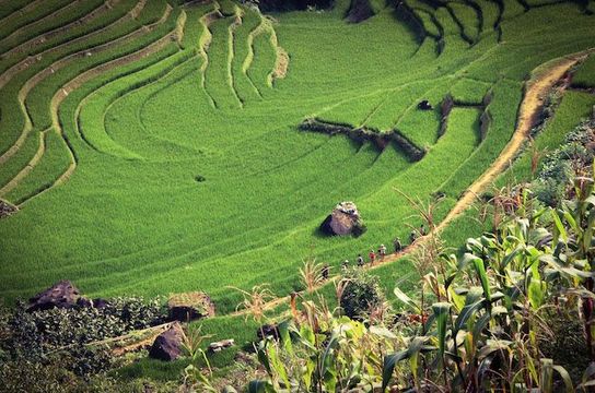 luxury-weekend-break-in-ubud