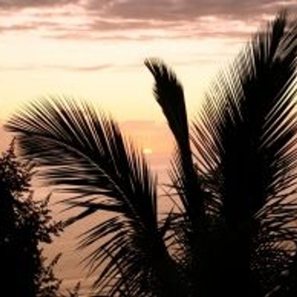 reunion-habitant-autotour