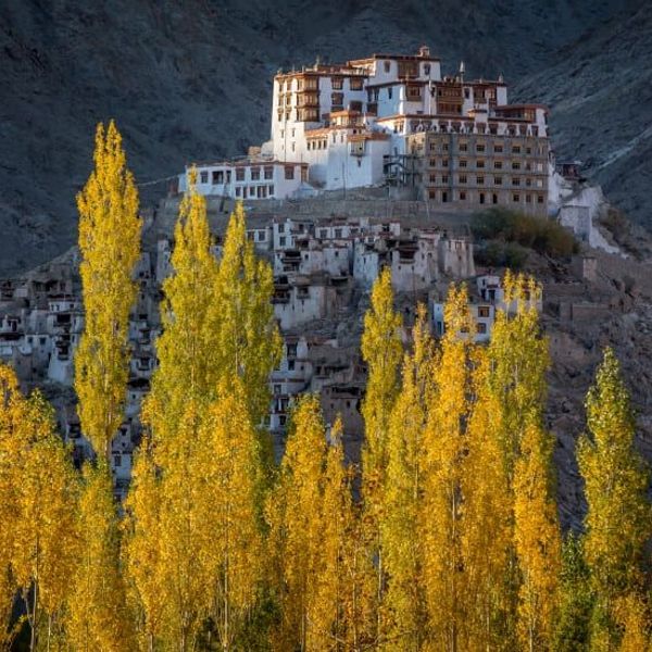 au-fil-du-pashmina-1