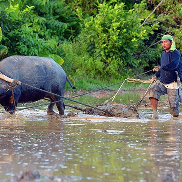 histoire-paysages-plages-nord-philippines