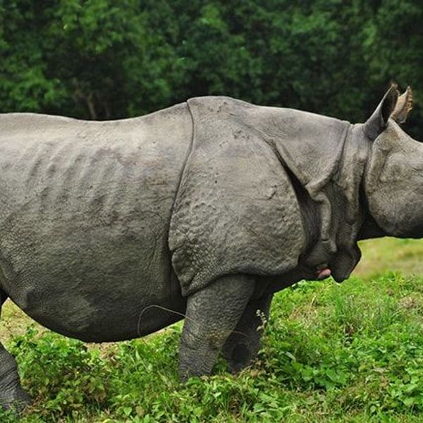 between-nepal-and-bhutan