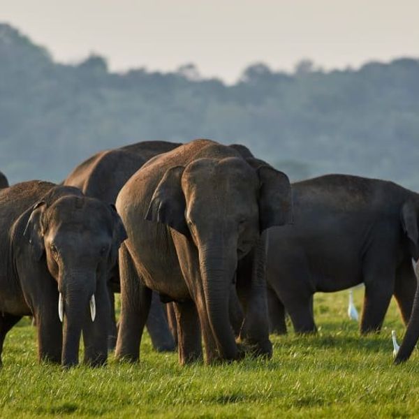 rencontres-laotiennes