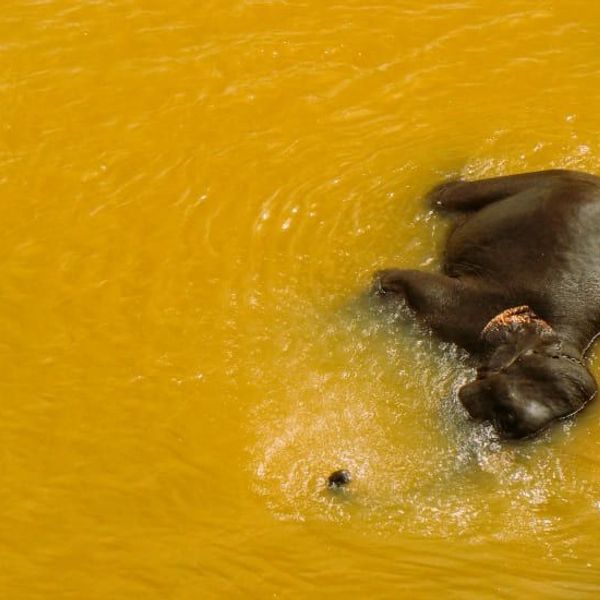 rencontres-laotiennes