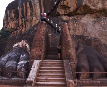 nature-and-culture-of-sri-lanka