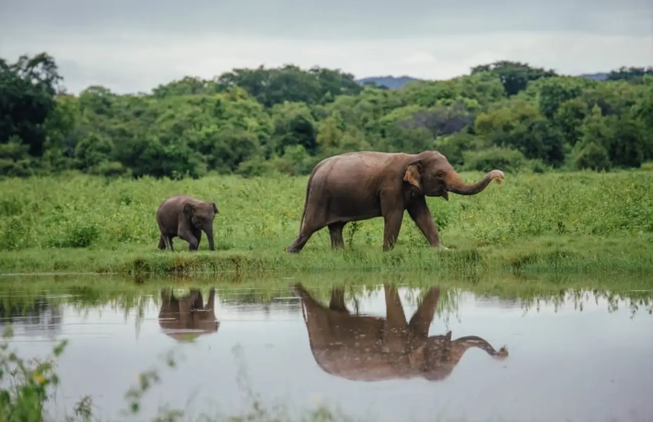 inde-du-sud-au-sri-lanka