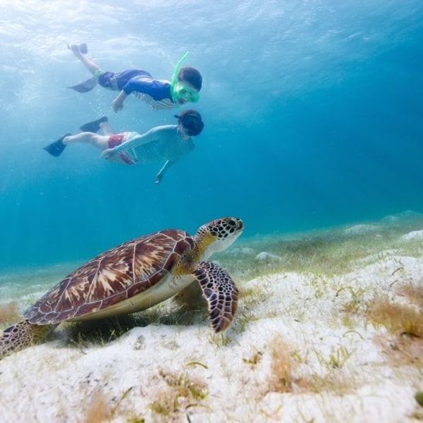 family-trip-to-the-philippines