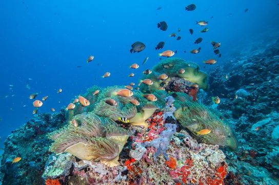 the-sri-lankan-peninsulas-from-kalpitiya-to-jaffna