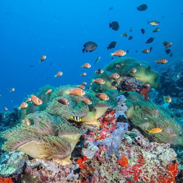 the-sri-lankan-peninsulas-from-kalpitiya-to-jaffna