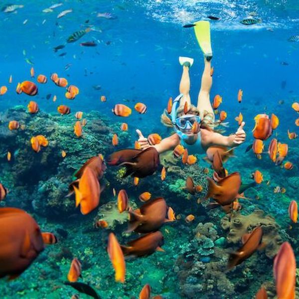 north-bali-menjangan-getaway