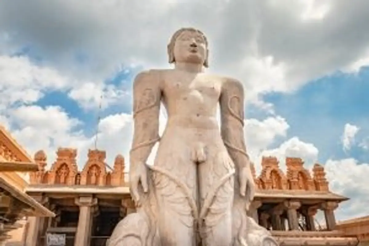 wildlife-coffee-karnataka