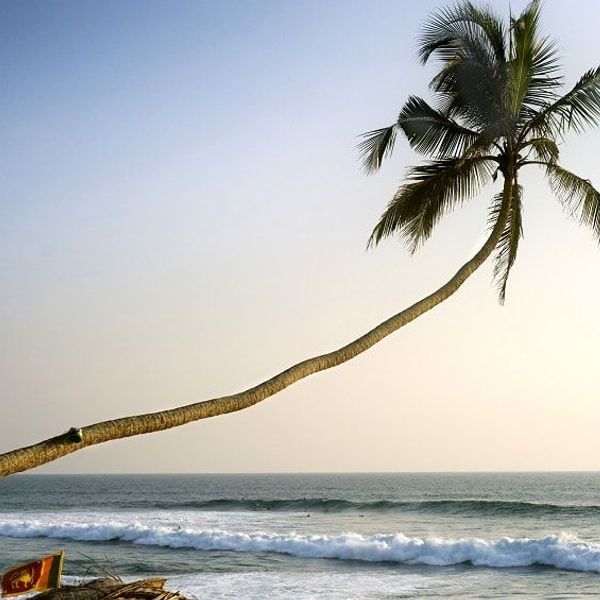 decouverte-charmes-sri-lanka