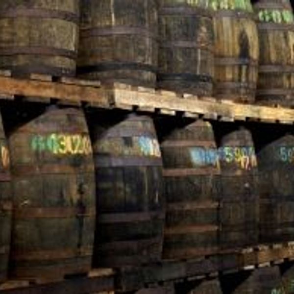 martinique-sur-la-route-du-rhum