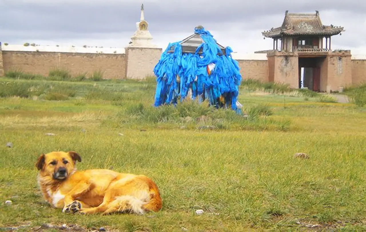grand-tour-mongolie