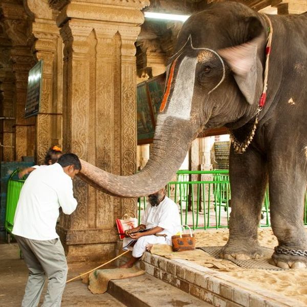 from-kerala-to-tamil-nadu