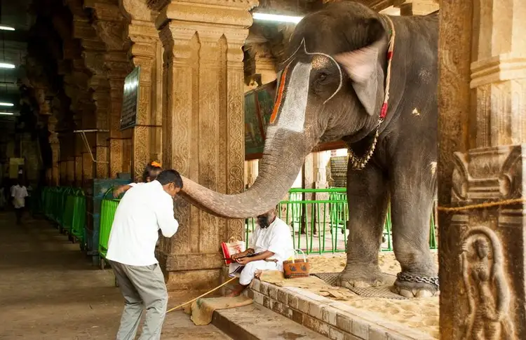 from-kerala-to-tamil-nadu