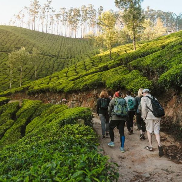 from-kerala-to-tamil-nadu