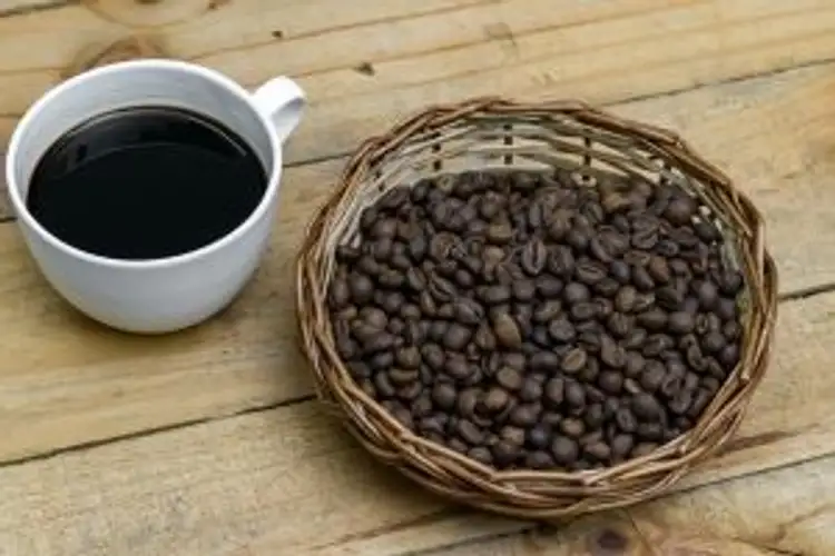 wildlife-coffee-karnataka