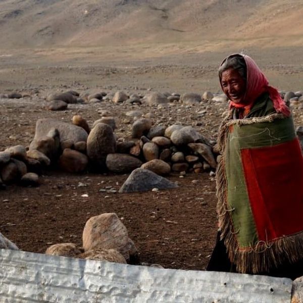 au-fil-du-pashmina-1