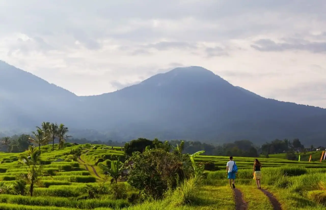 Voyage à Bali – Randonnée dans les rizières verdoyantes d'Ubud face à la silhouette brumeuse d'un volcan.