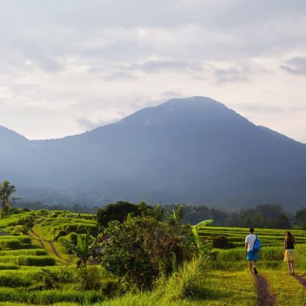 Deux voyageurs marchant sur un sentier à travers les rizières en terrasses verdoyantes d'Ubud, avec des montagnes brumeuses en arrière-plan à Bali.
