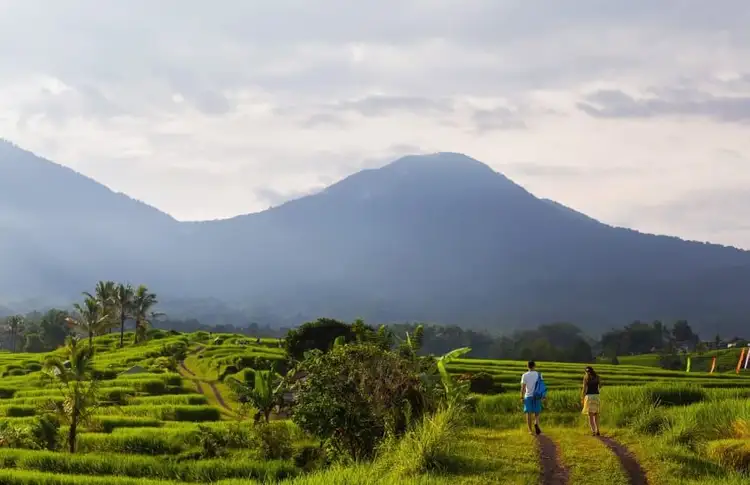 Deux voyageurs marchant sur un sentier à travers les rizières en terrasses verdoyantes d'Ubud, avec des montagnes brumeuses en arrière-plan à Bali.