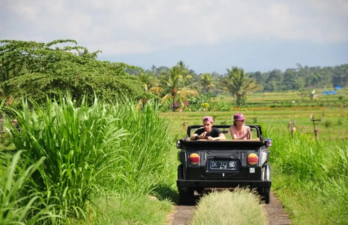 Un couple de voyageurs assis à l'arrière d'une Volkswagen Safari décapotable, roulant sur un chemin à travers des rizières luxuriantes près d'Ubud à Bali.