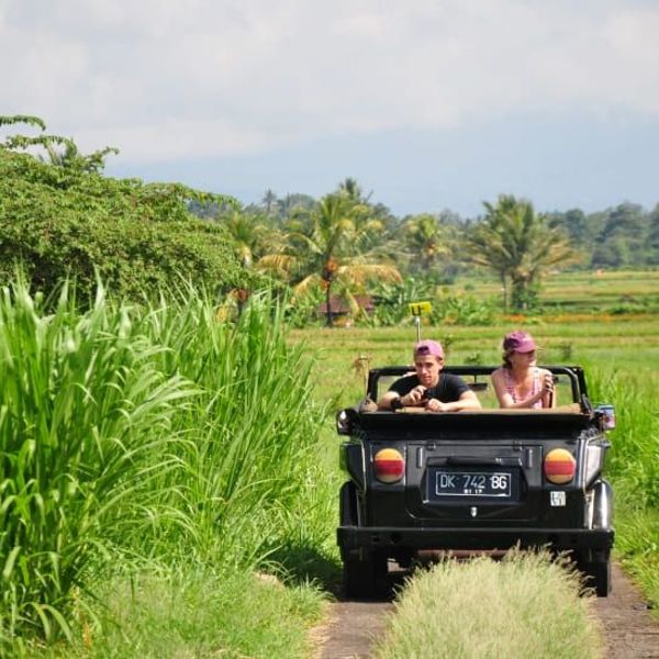 Un couple de voyageurs assis à l'arrière d'une Volkswagen Safari décapotable, roulant sur un chemin à travers des rizières luxuriantes près d'Ubud à Bali.