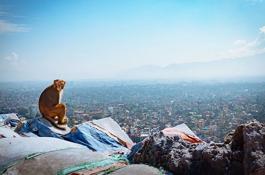 royaumes-himalayens-nepal-sikkim-bhoutan