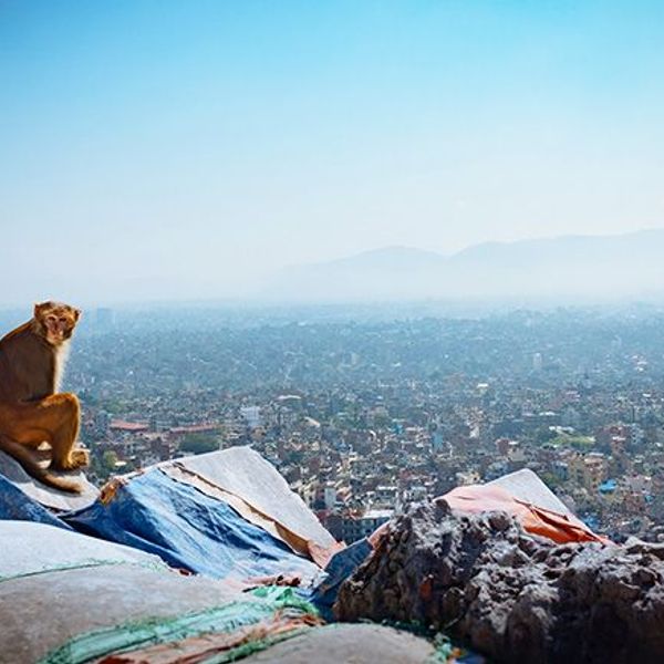 royaumes-himalayens-nepal-sikkim-bhoutan