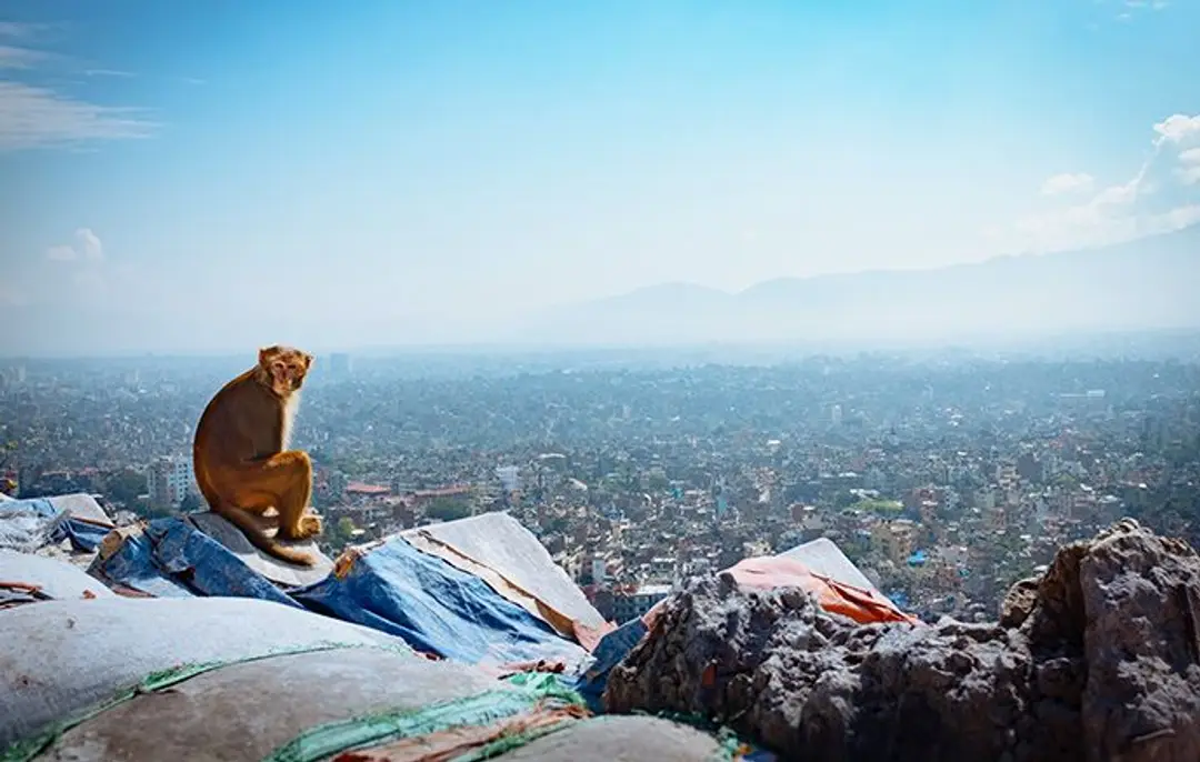 royaumes-himalayens-nepal-sikkim-bhoutan