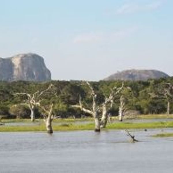 romantic-gateway-sri-lanka-nature