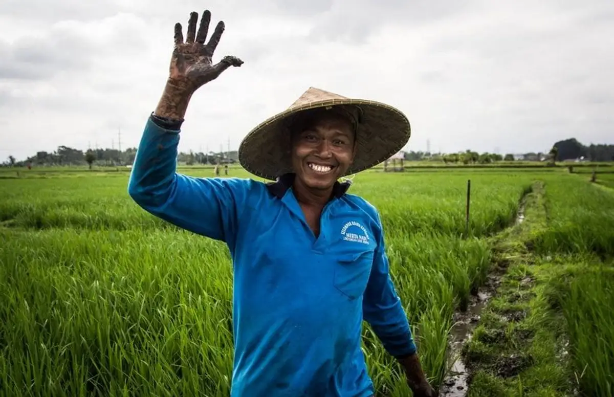 rice-fields-of-bali-to-komodo-dragons