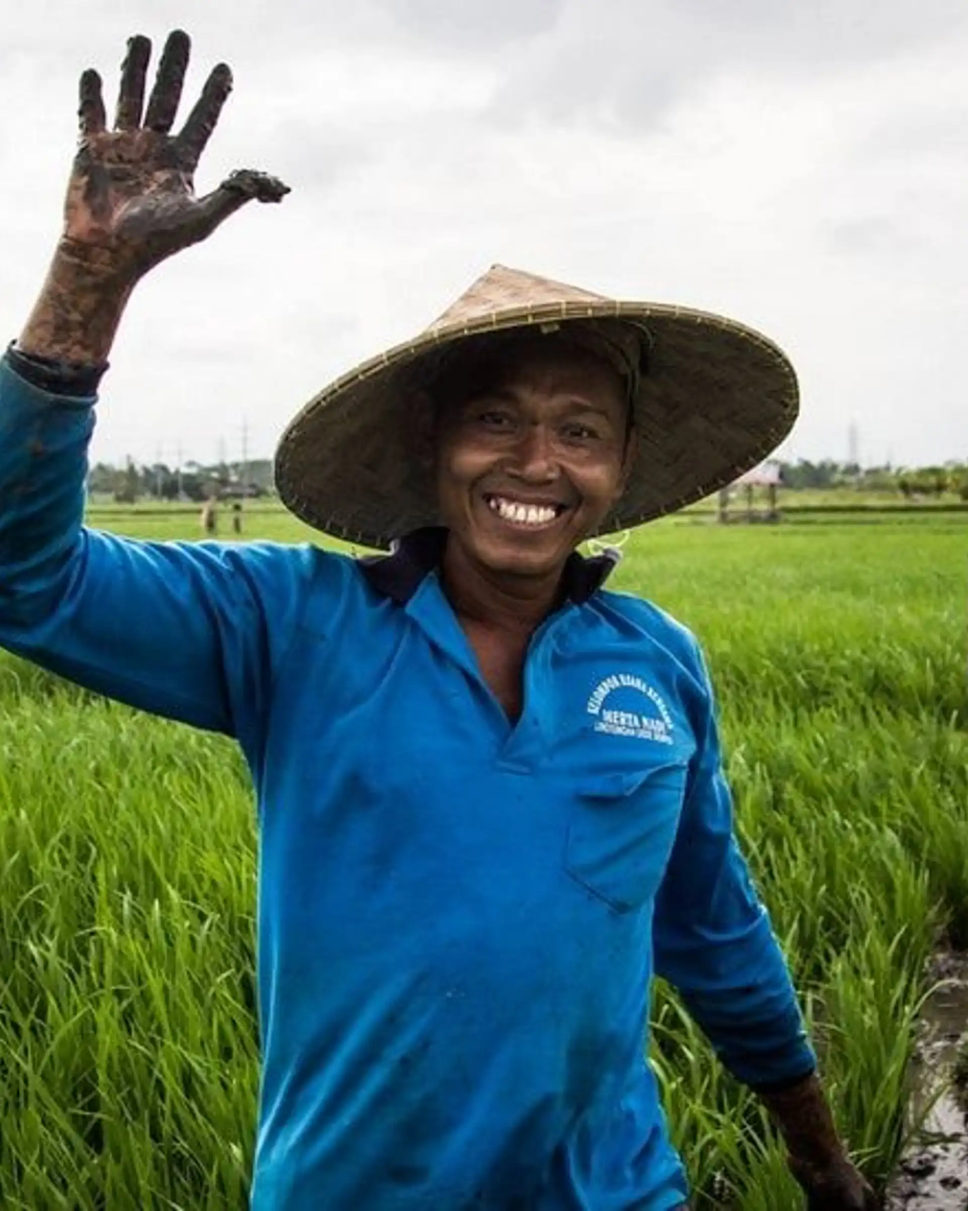rice-fields-of-bali-to-komodo-dragons