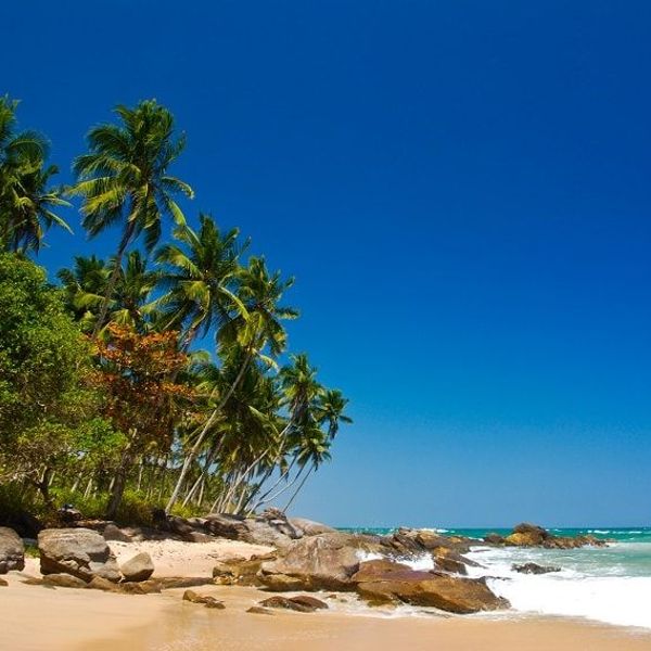 decouverte-charmes-sri-lanka