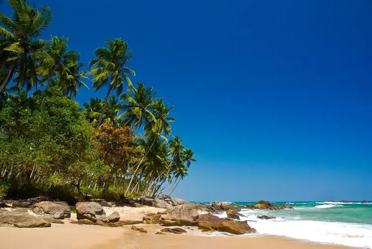 decouverte-charmes-sri-lanka